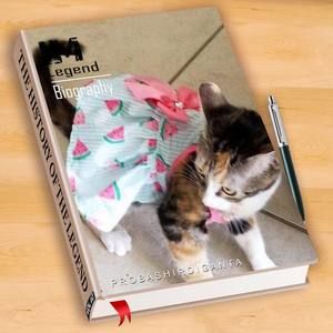 Meet your Posher, Vilmarie